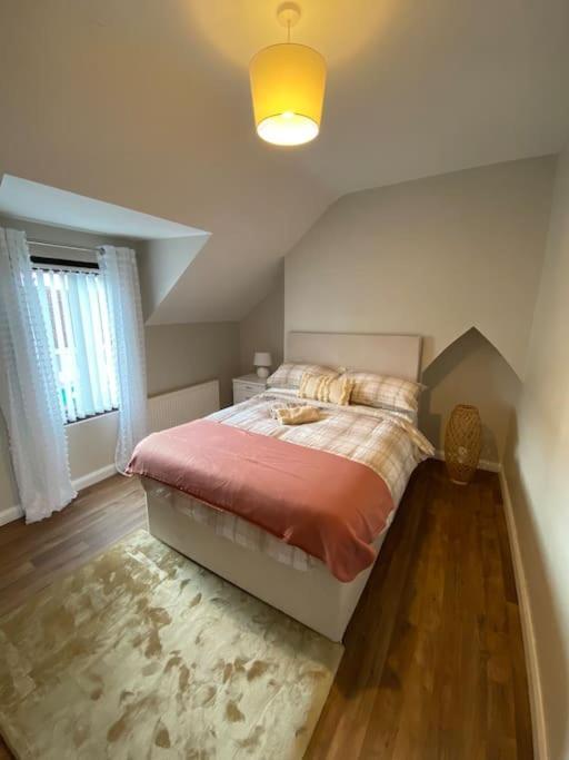 The Cozy Homestay Belfast Bagian luar foto