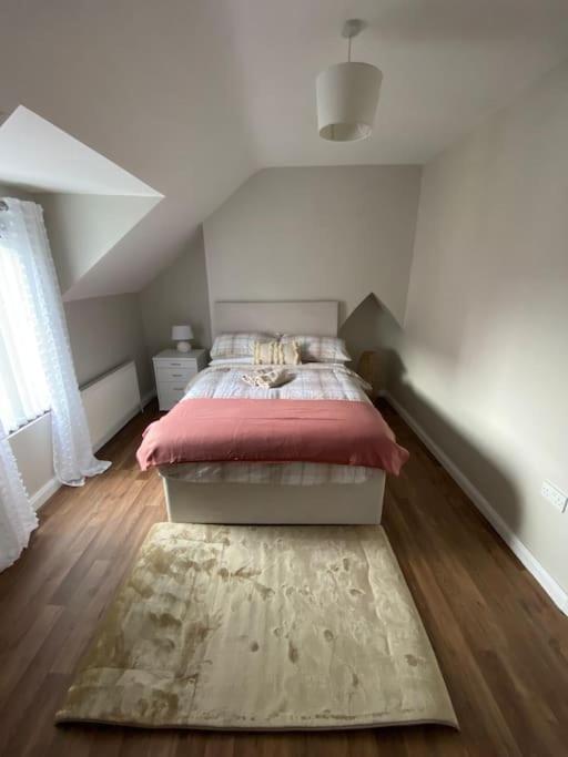The Cozy Homestay Belfast Bagian luar foto
