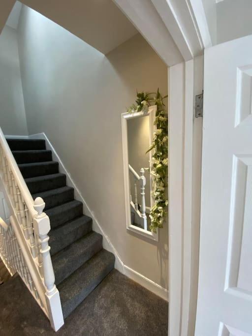 The Cozy Homestay Belfast Bagian luar foto